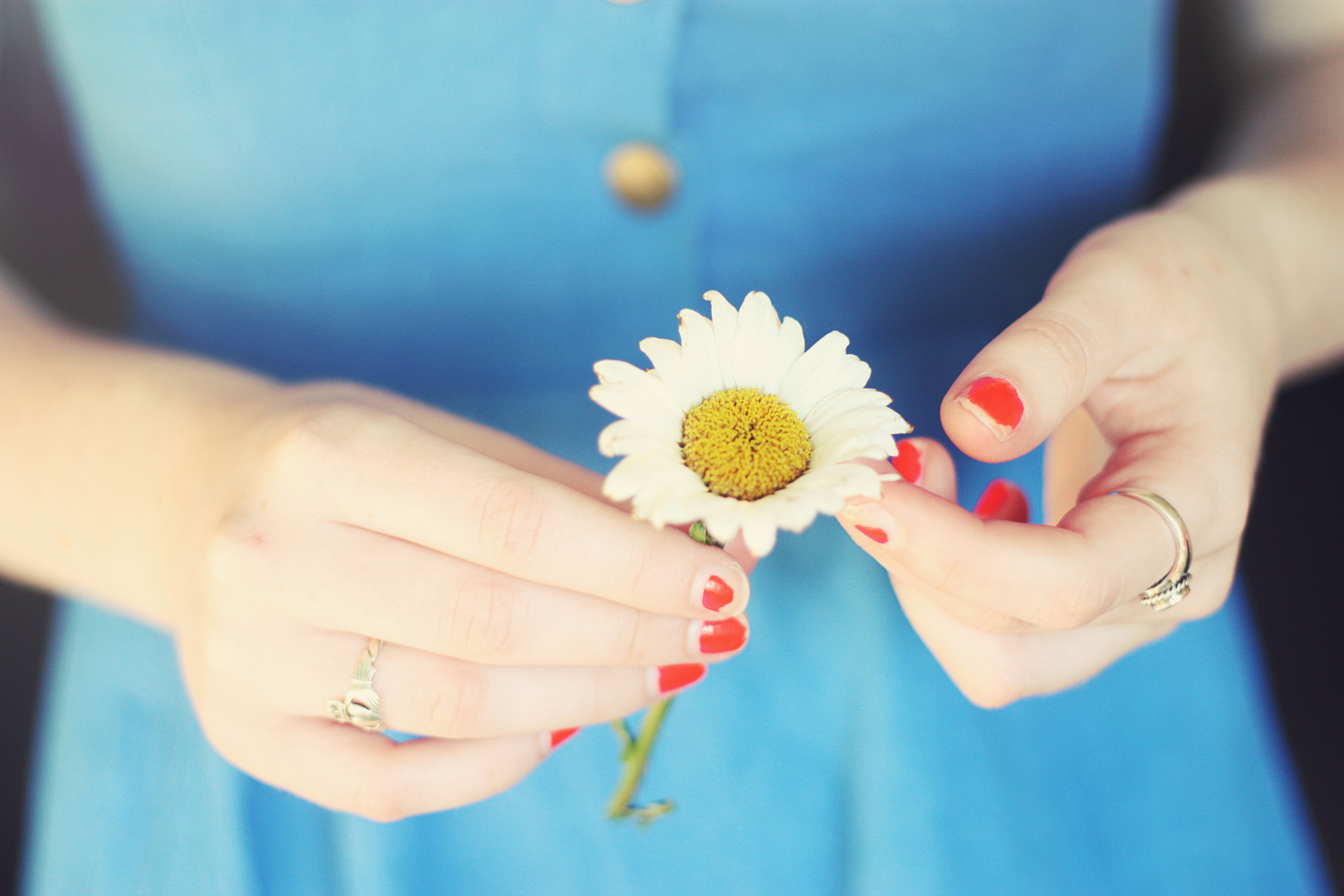 Будь счастлива моя родная мама. Цветы в ладонях. Цветы в руках женщины. Цветок на руку.. Цветочек в руке.