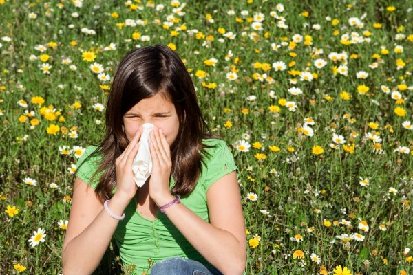 child with hayfever allergy sneezing blowing nose