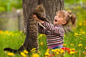 Роль домашних животных в воспитании ребенка