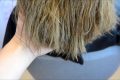 Как восстановить волосы после мелирования?