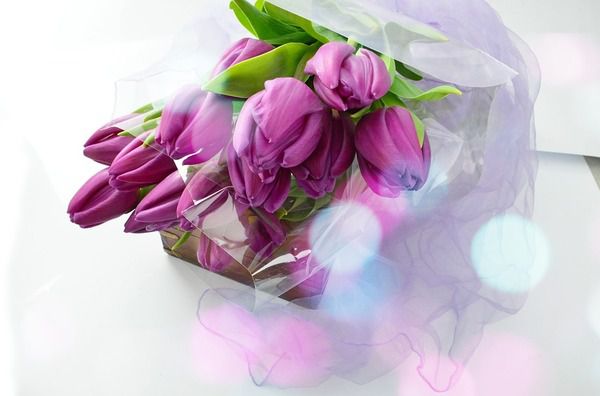 Опасные растения для женщин: что нужно знать хозяйке