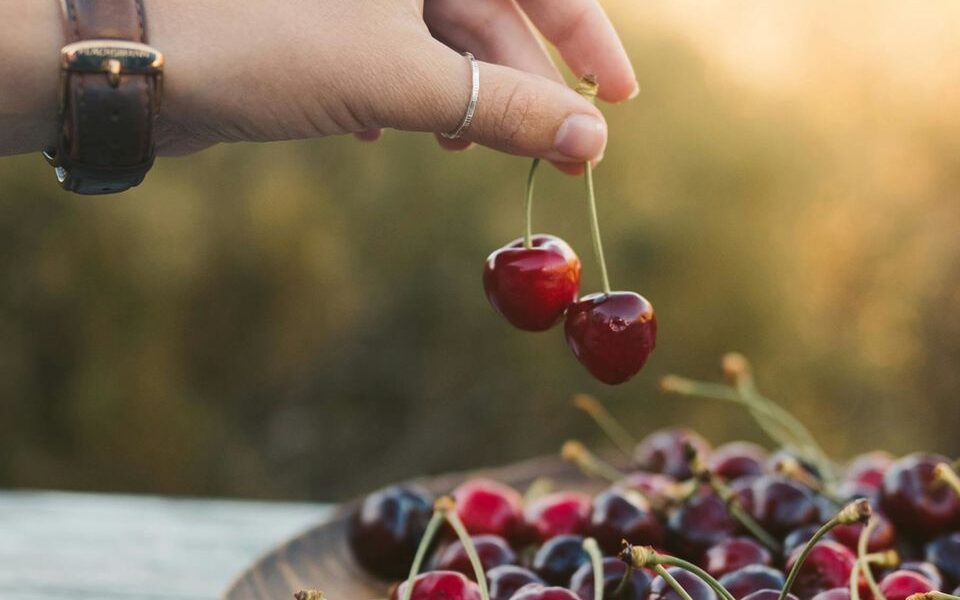 Как избавиться от червей в черешне: советы хозяйкам
