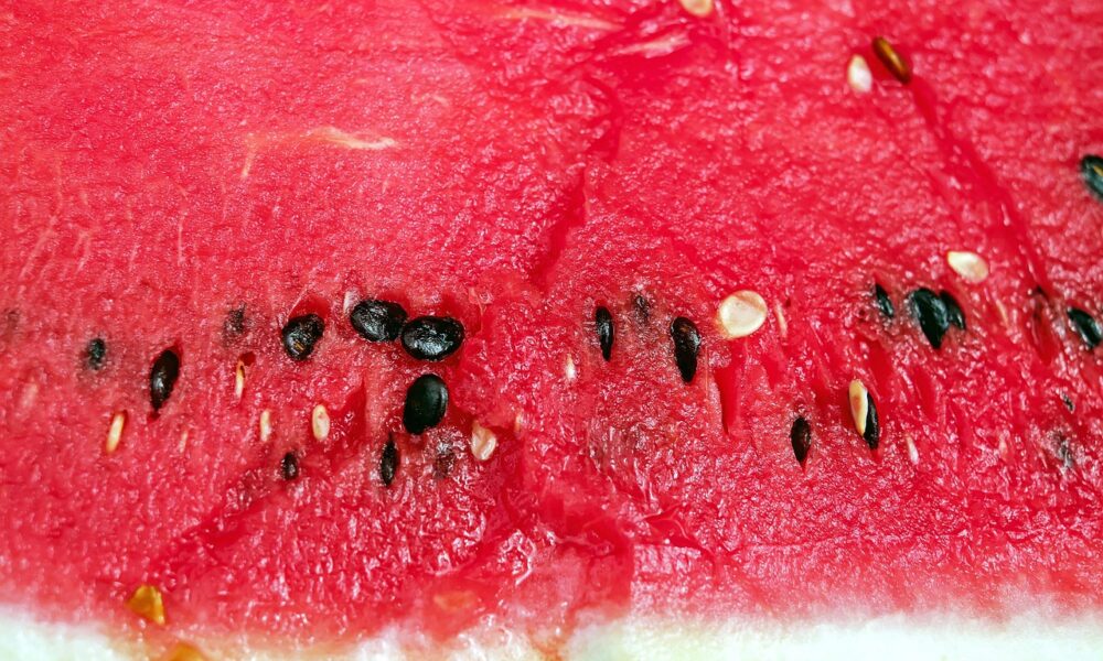 Image for: Когда собирать урожай: определяем спелость арбузов и дынь. Tags: дыня, арбуз, фрукты, красный, сочный, ядра,...