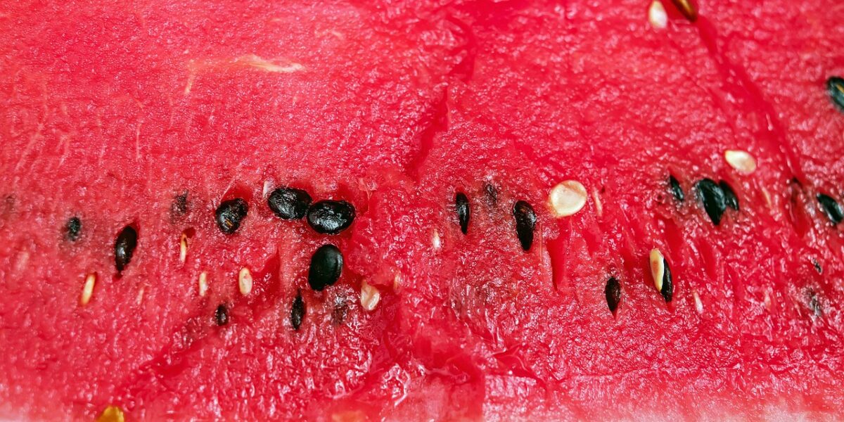 Image for: Когда собирать урожай: определяем спелость арбузов и дынь. Tags: дыня, арбуз, фрукты, красный, сочный, ядра,...