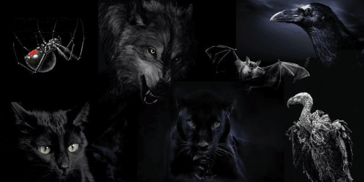 Какой зверь вас привлекает: узнайте темные стороны своей личности