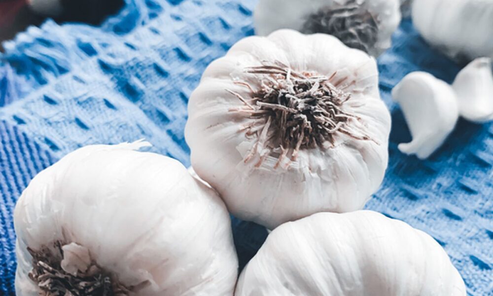 Зола в огороде: почему не стоит удобрять ею чеснок и другие растения