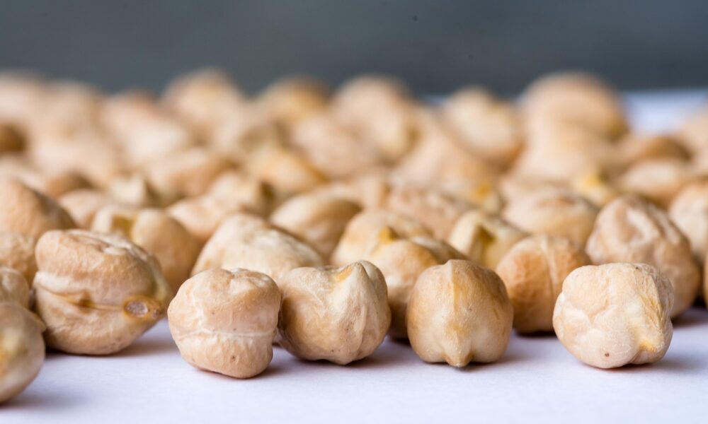 Image for: Рецепт нежного нута в томатном соусе: просто и вкусно. Tags: нут, нута, горох, никон, микро, макрос, нут, нут...