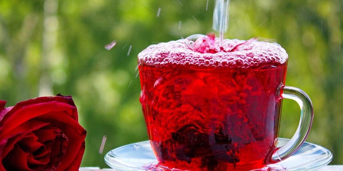 Чай каркаде: польза для здоровья и красоты – секреты для хозяек