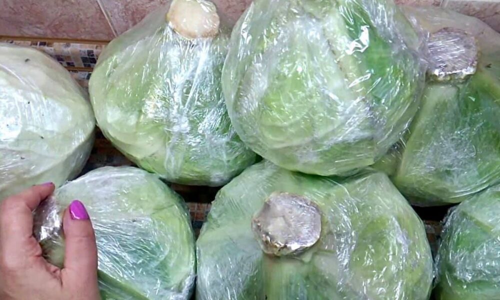 Пищевая пленка: секреты хранения продуктов и урожая для хозяйки