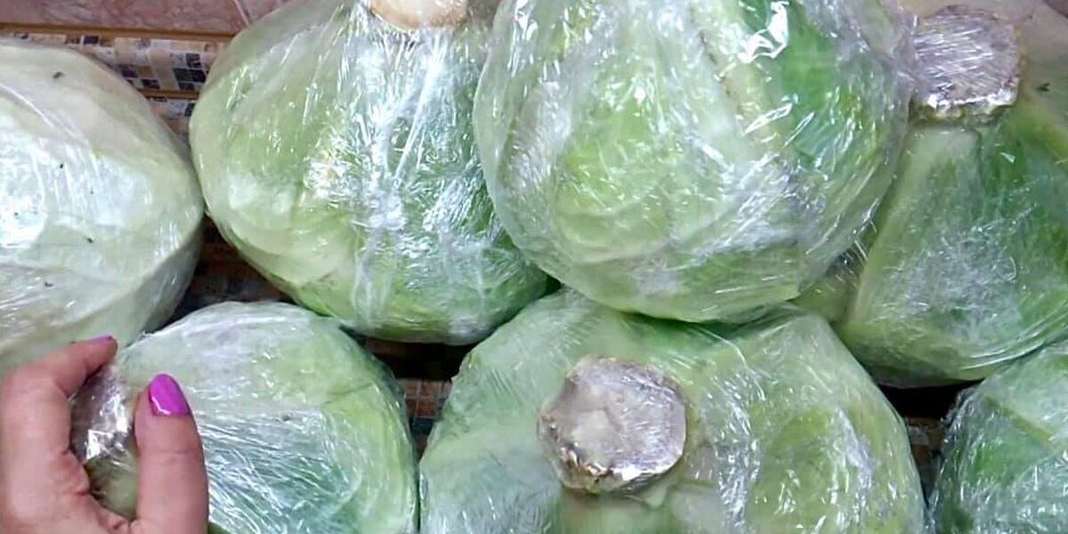 Пищевая пленка: секреты хранения продуктов и урожая для хозяйки