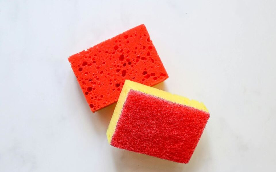 Быстрые всходы: проращиваем семена на губке для посуды – простой способ для каждой хозяйки