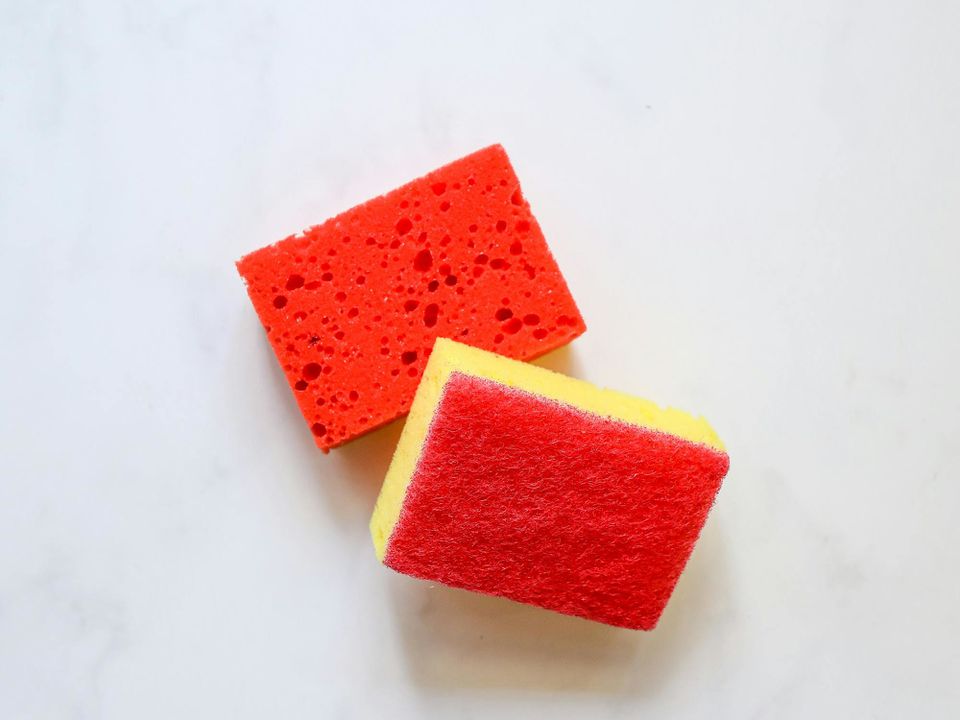 Быстрые всходы: проращиваем семена на губке для посуды – простой способ для каждой хозяйки