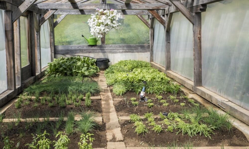 Чем накрыть теплицу: выбираем лучший материал для богатого урожая