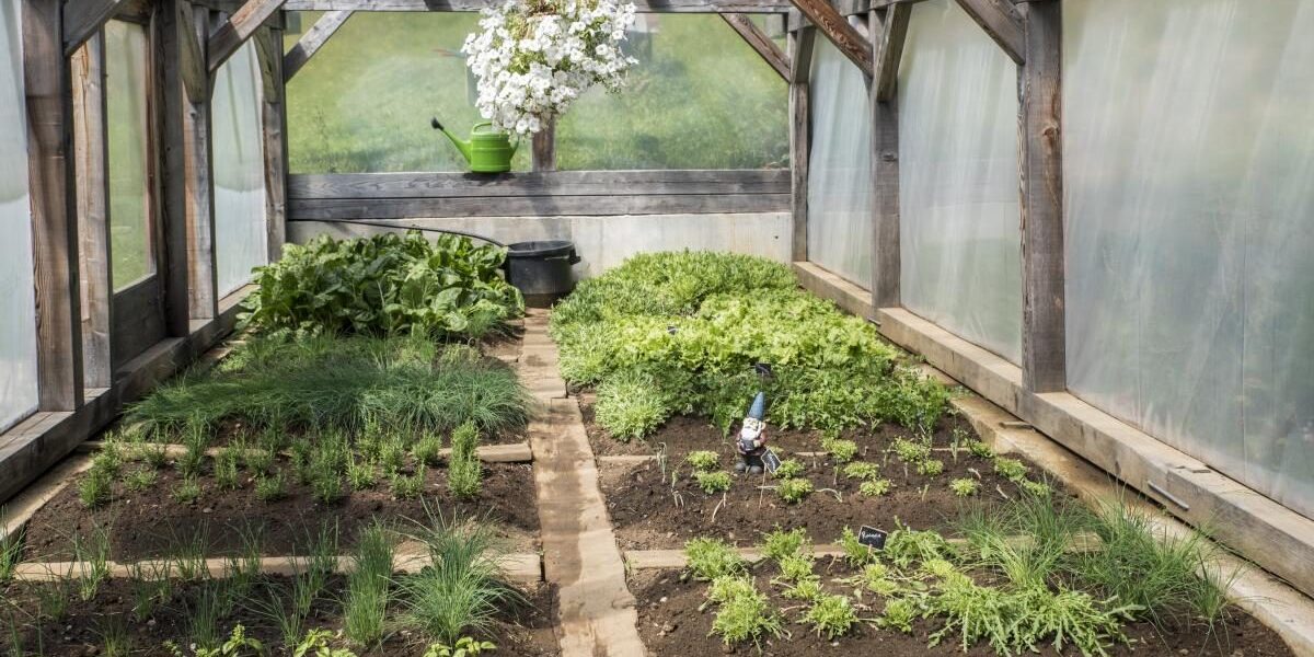 Чем накрыть теплицу: выбираем лучший материал для богатого урожая