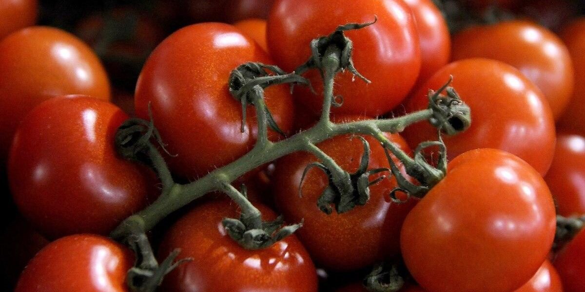 Как сохранить помидоры на зиму: лучшие способы заморозки для хозяек