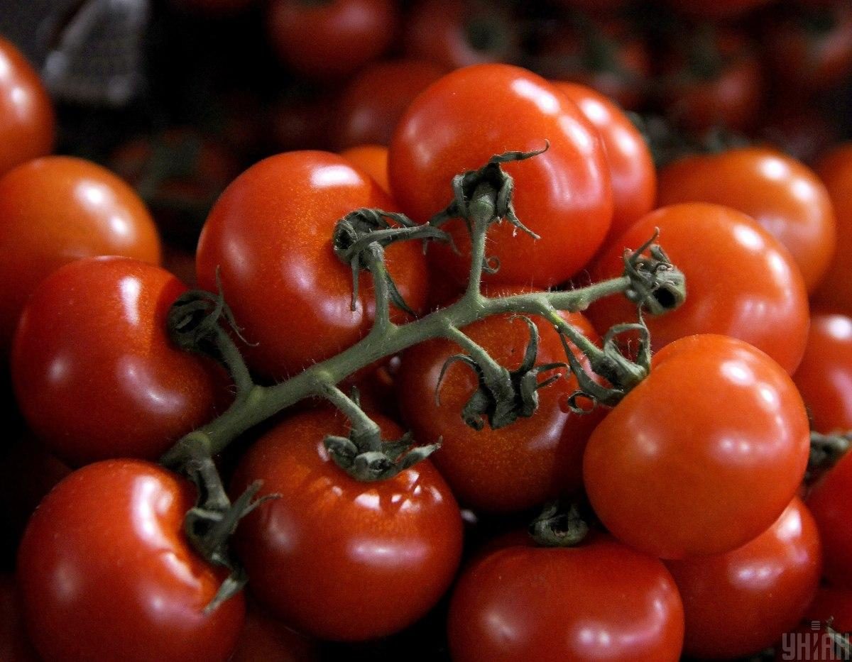 Как сохранить помидоры на зиму: лучшие способы заморозки для хозяек