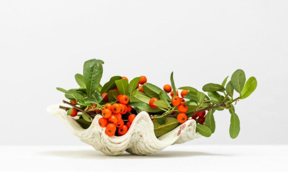 Именины в декабре: как поздравить с Днем ангела