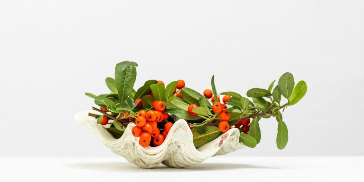 Именины в декабре: как поздравить с Днем ангела