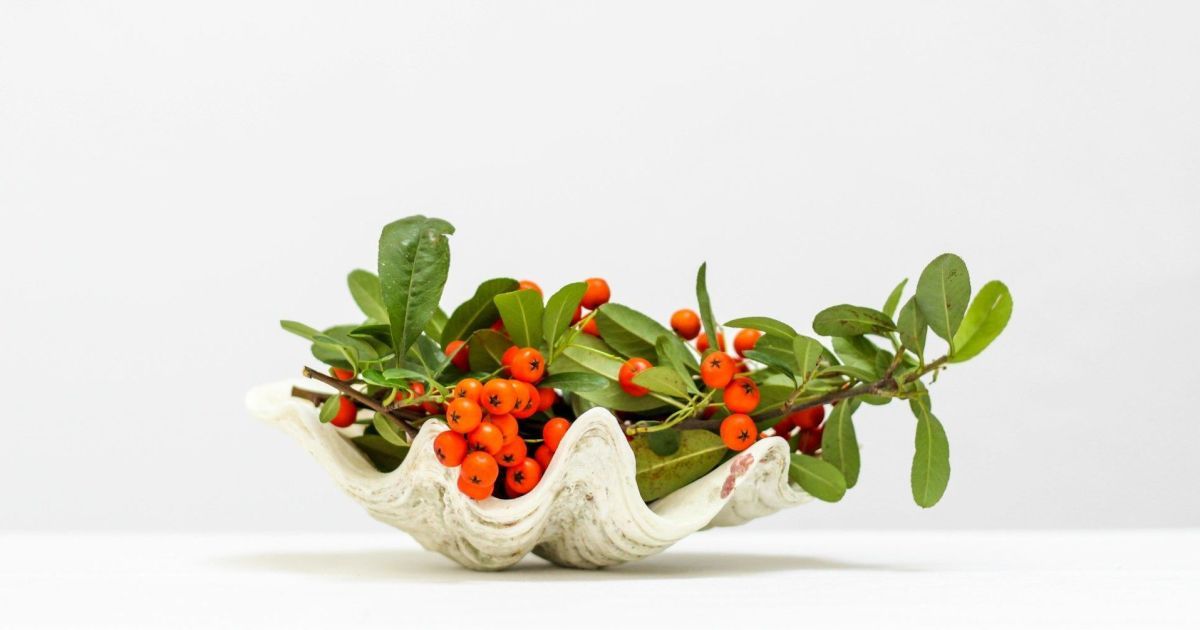 Именины в декабре: как поздравить с Днем ангела