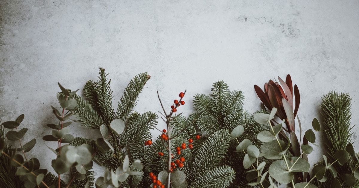 Именины в декабре: кого поздравлять и как отметить