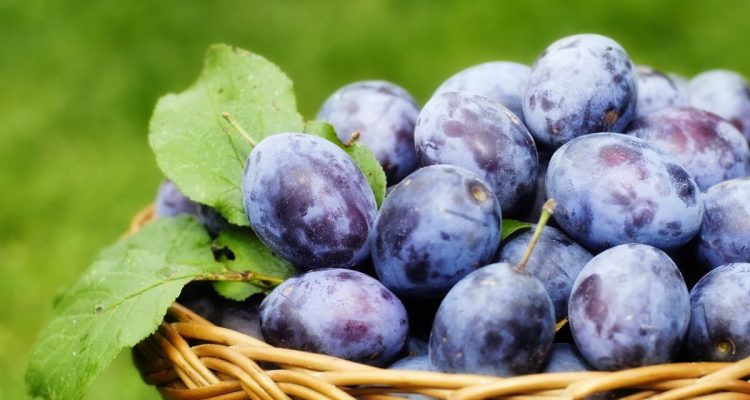 Сладкое без вреда: чем заменить десерты для здоровья и фигуры