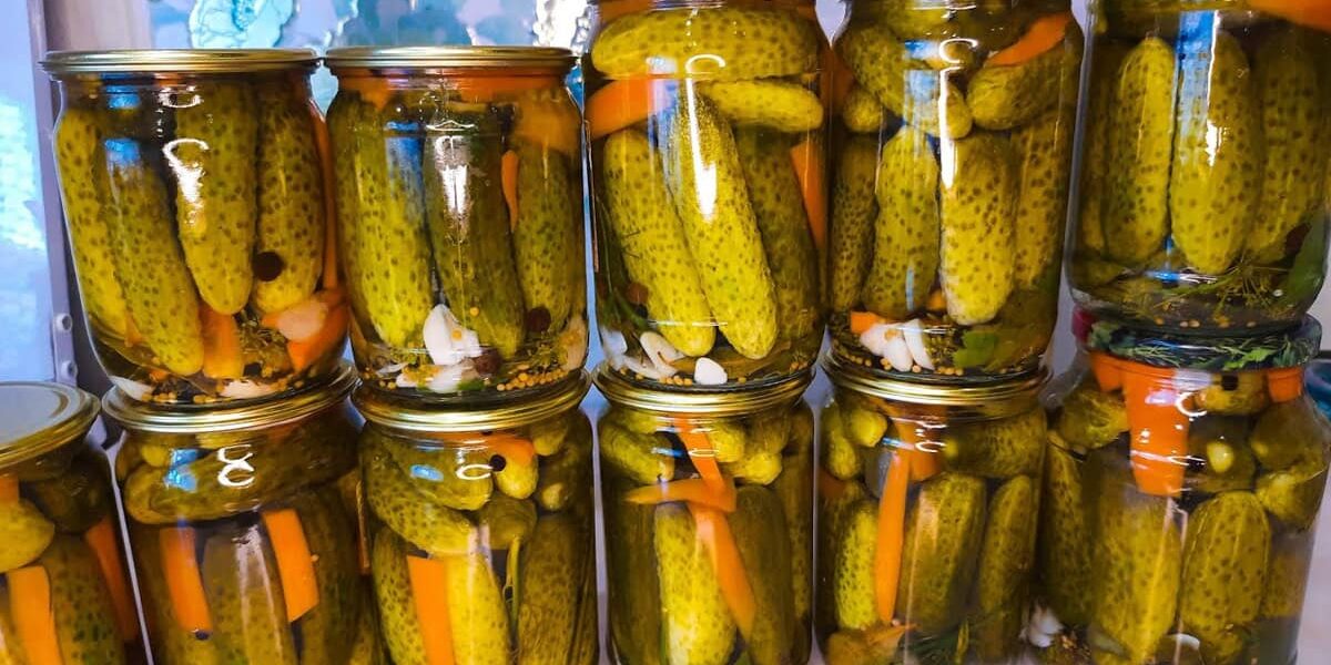 Хрустящие огурцы на зиму: простой рецепт без стерилизации и уксуса