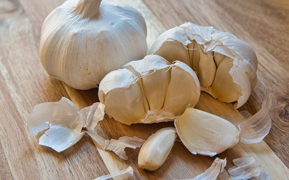 Секрет богатого урожая чеснока: замачиваем перед посадкой – получаем гигантские головки!