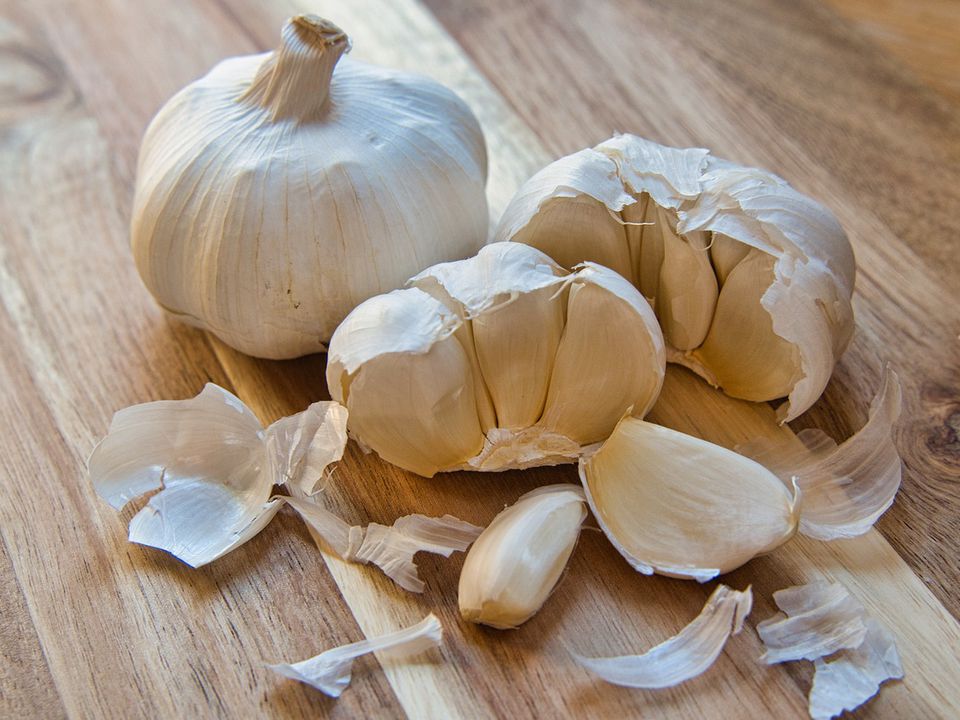 Секрет богатого урожая чеснока: замачиваем перед посадкой – получаем гигантские головки!