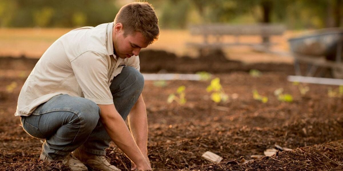 Как определить, что почва готова к посадке: советы для дачниц