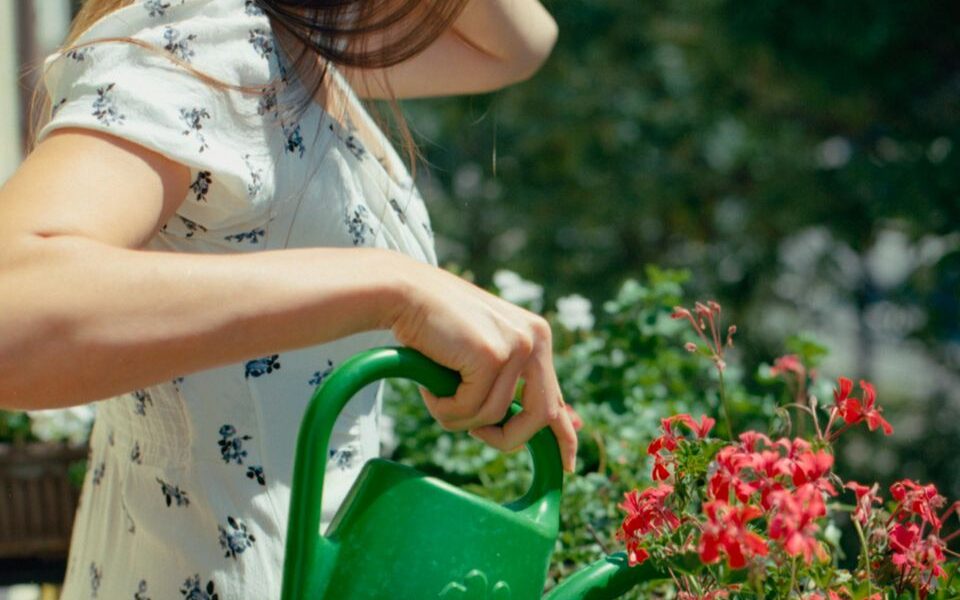 Спасаем растения: советы по уходу после солнечных ожогов