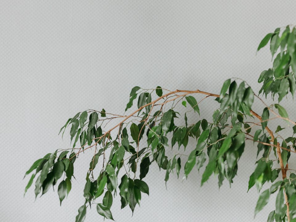 Секреты идеальной хозяйки: полезные советы и хитрости для дома