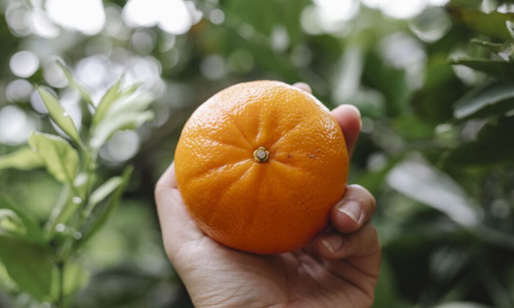 Продукты против морщин: натуральная альтернатива косметике