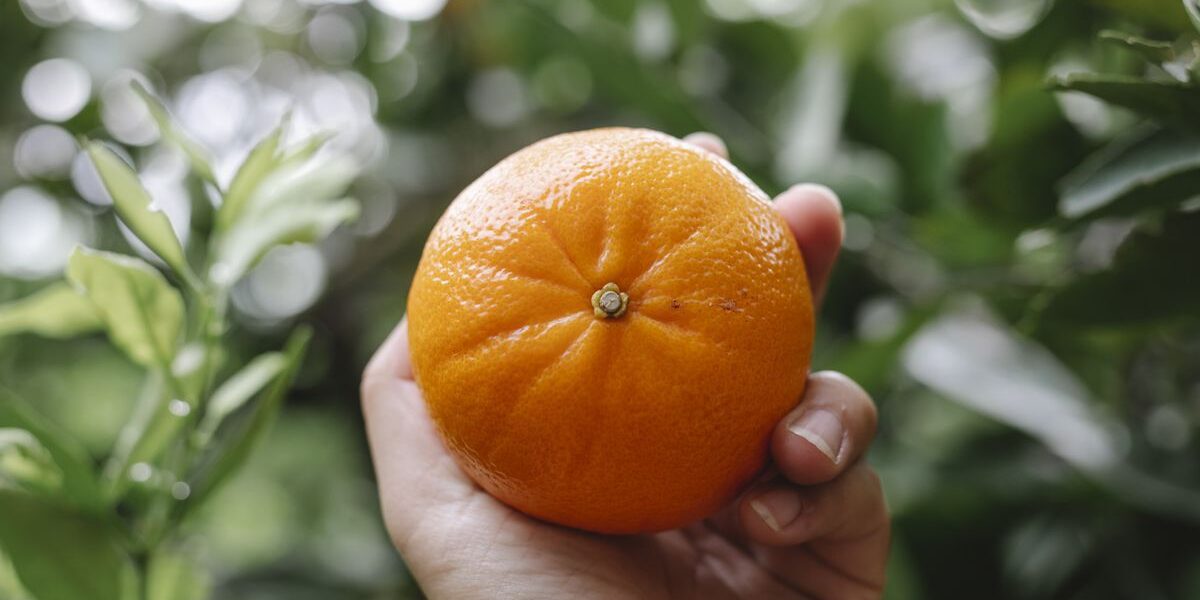 Продукты против морщин: натуральная альтернатива косметике