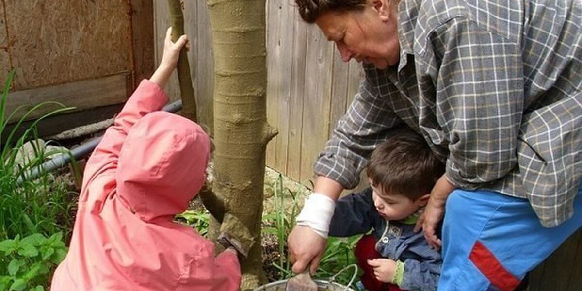Глина в саду и огороде: полезные советы для хозяйки