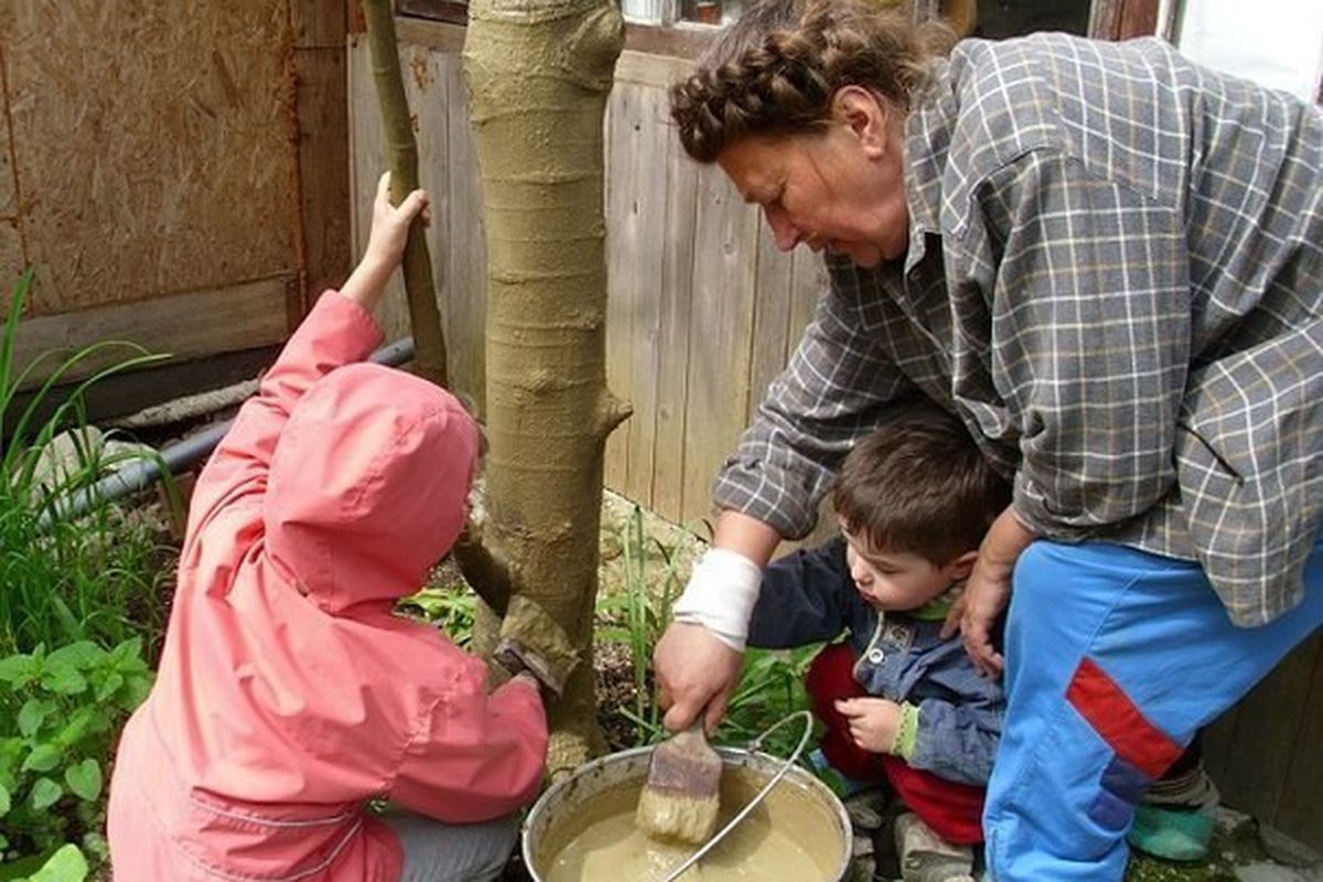 Глина в саду и огороде: полезные советы для хозяйки