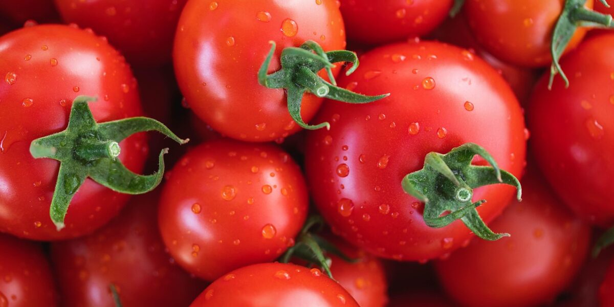 Image for: Рецепт жареных зеленых помидоров: пальчики оближешь!. Tags: помидоры, овощи, свежие помидоры, здоровый, питан...