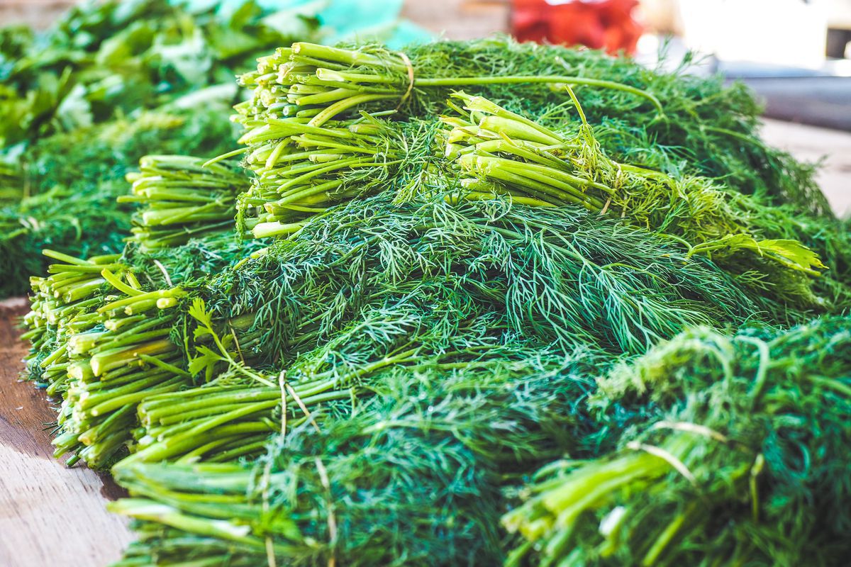 Как сохранить зелень свежей: лучшие советы для хозяек