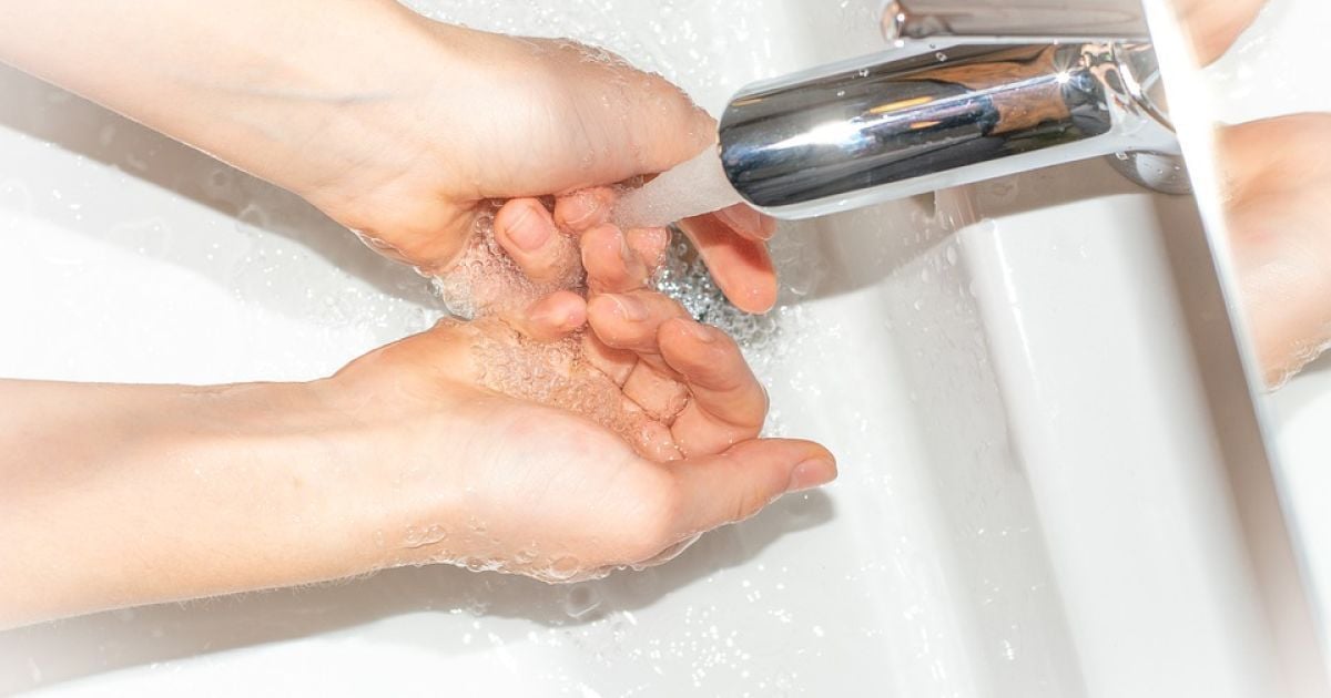 Чистые руки – залог здоровья: подробная инструкция для хозяек