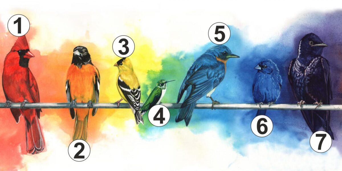Какой ты увидишь птицу первым: тест определит, чего тебе не хватает для счастья