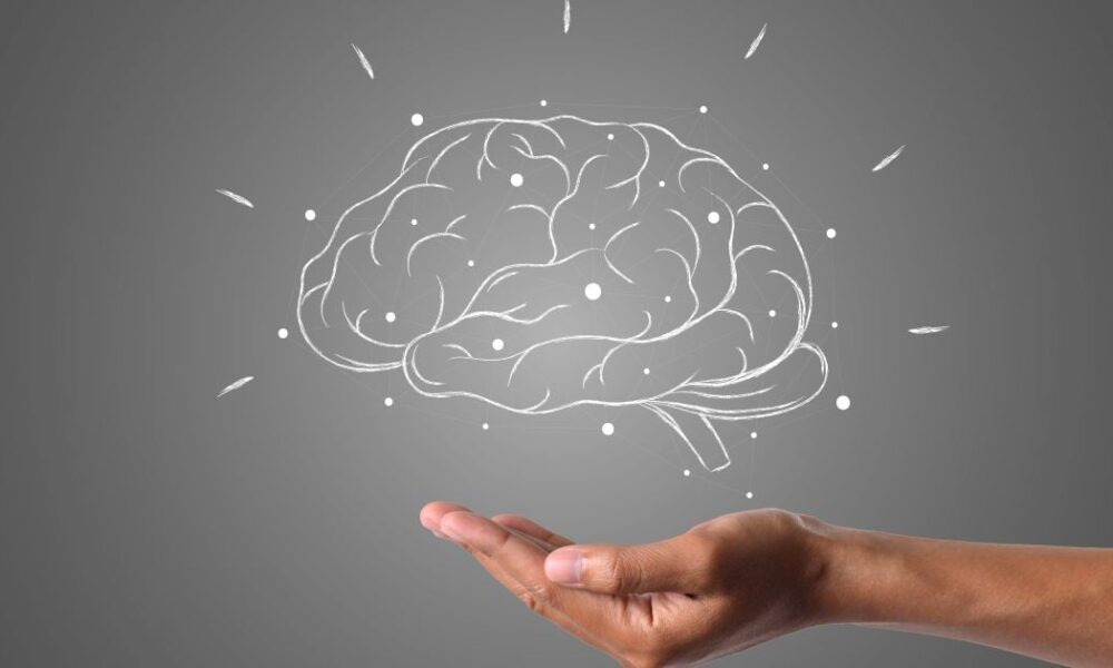 Секреты хорошей памяти: простые упражнения для тренировки мозга каждой хозяйке