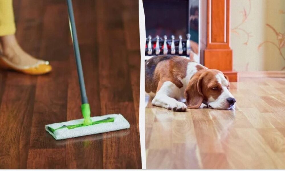 Секрет блестящего пола: простое средство для мытья своими руками