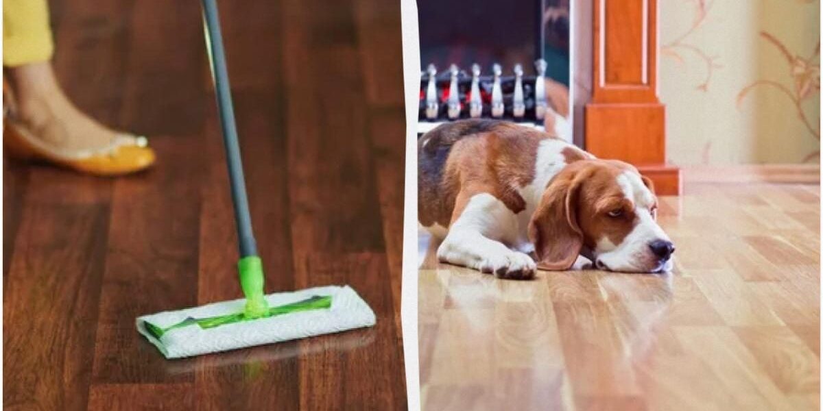 Секрет блестящего пола: простое средство для мытья своими руками