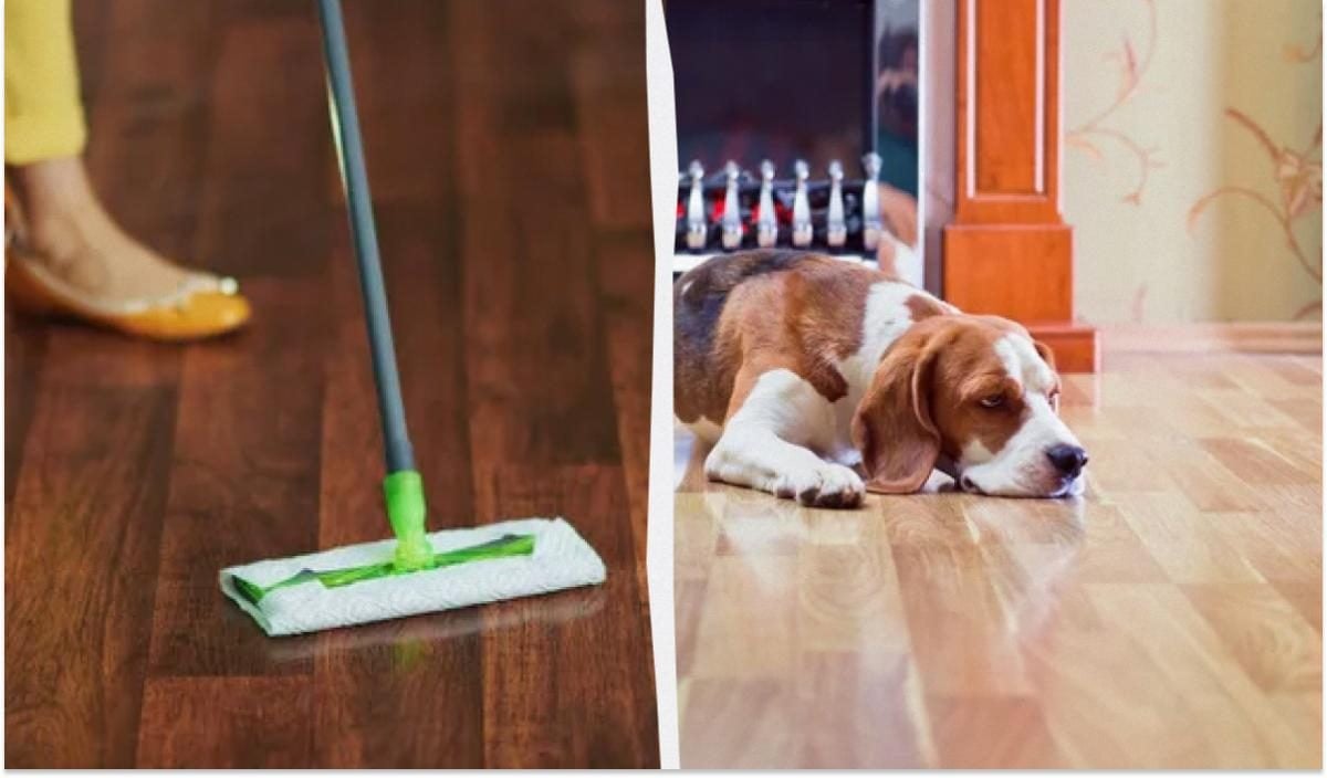 Секрет блестящего пола: простое средство для мытья своими руками