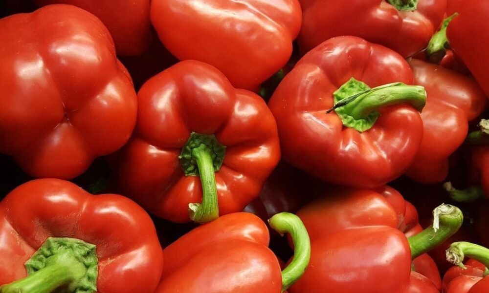 Выращивание перца из семян: реальность и полезные советы для дома