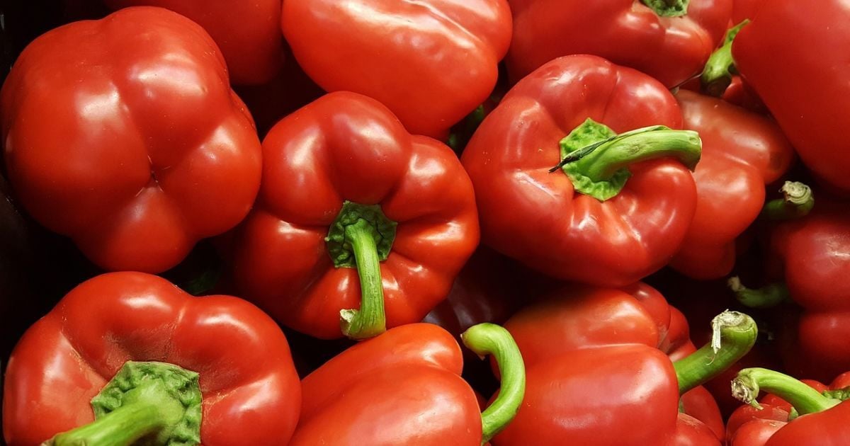 Выращивание перца из семян: реальность и полезные советы для дома