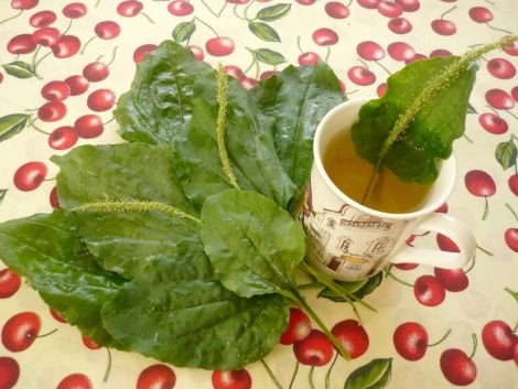 Чай для здоровья: как снизить холестерин естественным путем