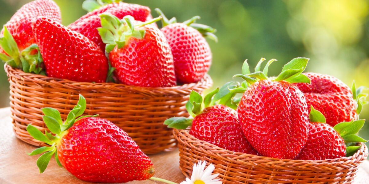 Секреты богатого урожая: посадка и уход за клубникой для начинающих