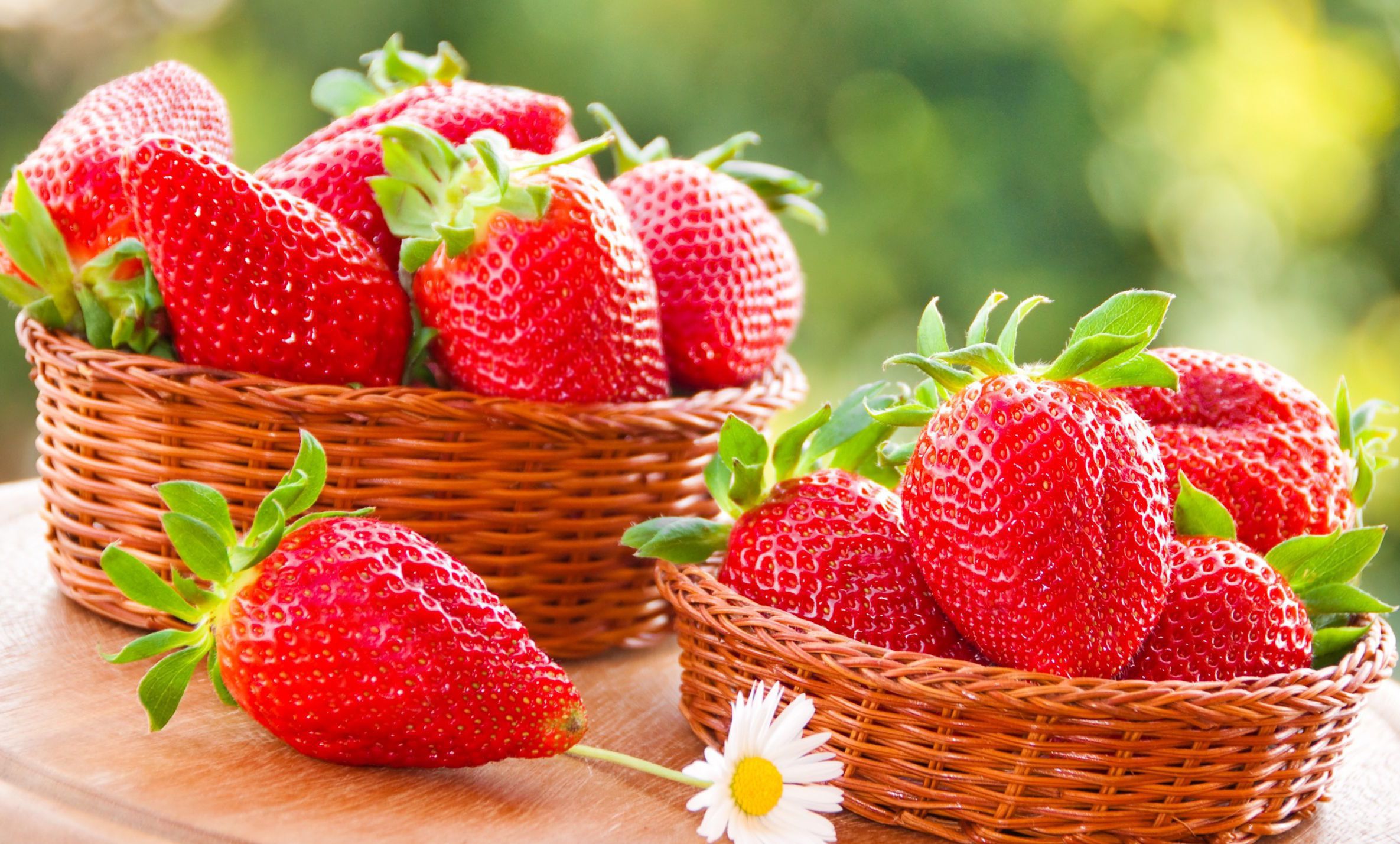 Секреты богатого урожая: посадка и уход за клубникой для начинающих