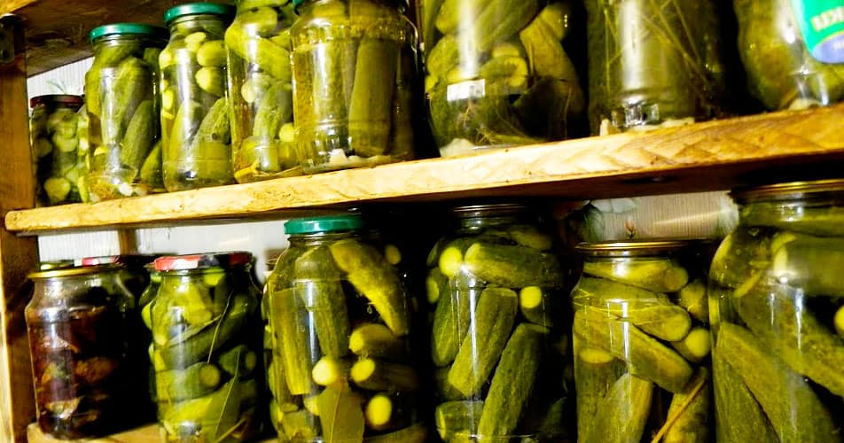 Хрустящие соленые огурцы в банках: простой рецепт холодного посола