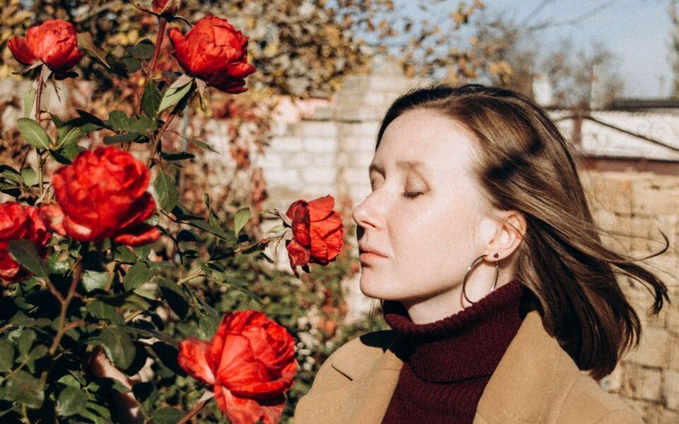 Уход за розами в сентябре: секреты осеннего цветения